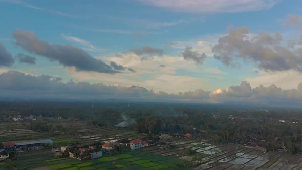 Beautiful Aerial Shot of the Rice Fields Surrounding the Ubud Village That Are Filled with Water