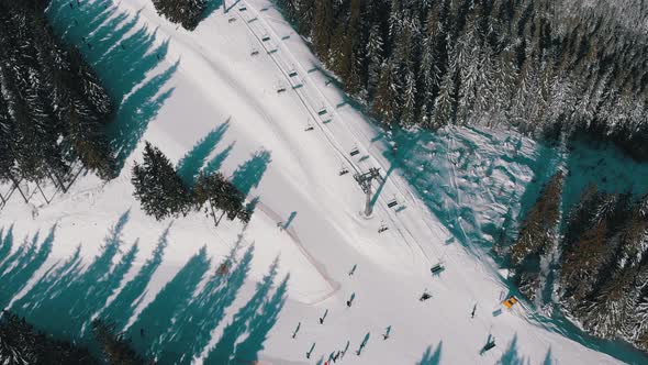 Aerial Ski Slopes with Skiers and Ski Lifts on Ski Resort in Snowy Fir Forest