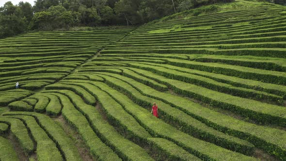 Aerial View of woman in the maze of flower beds along the hill, Sao Bras.