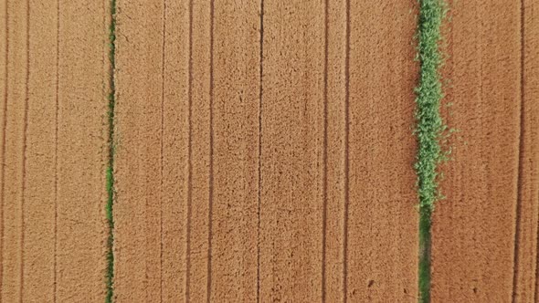 Drone view of a fields