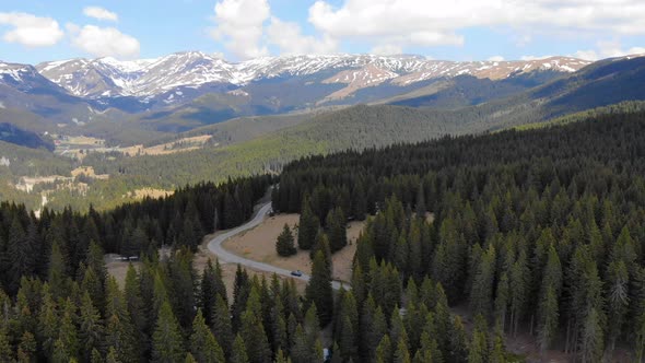 Aerial View over a mountain forest in spring season. Pine and fir trees forest.