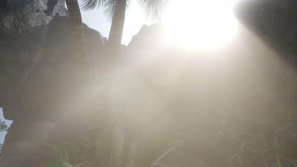 Big Palms Stone Cave Rays Sunlight