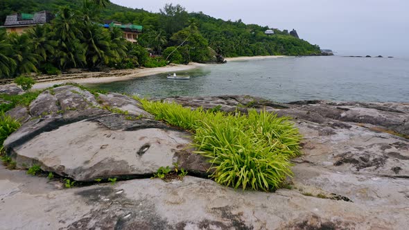 Aerial Low Attitude Fly on Tropical Beach Anse Forbans at Mahe Island Seychelles