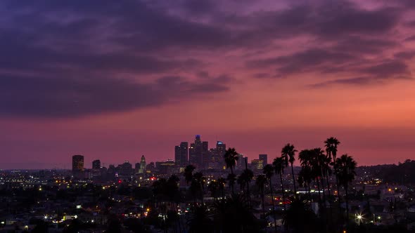 Downtown Los Angeles and Palm Trees Day to Night Sunset