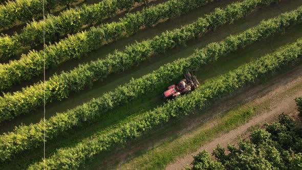 Tractor Machinery Cleaning Apple Agriculture Field