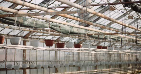 Agriculture - Sorted Pots with Seedlings in Greenhouse