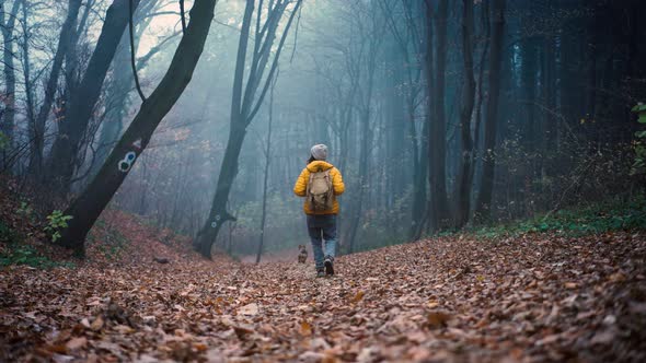 A Young Woman with a Backpack Walks Through the Autumn Misty Forest with Her Dog