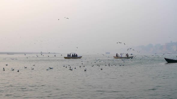 Seagulls Start Flying Near the Boats