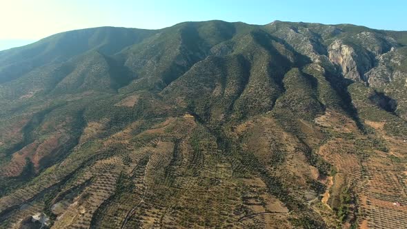 Sparse Orchard in Hot Mediterranean Mountain