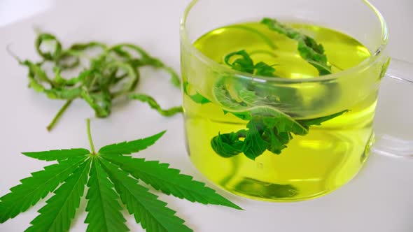 A glass of hot marijuana tea on the table. Cannabis herbal tea with dried leaves