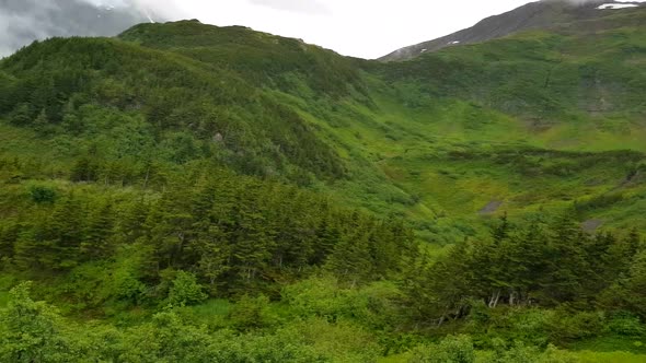 Mountains of Alaska in Summer