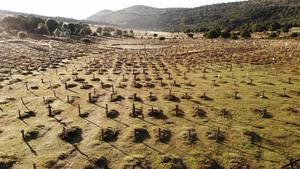 Sad Hill Cemetery in Spain. Aerial View
