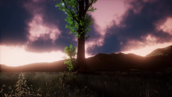 Aerial Green Hills Landscape in Fog alt