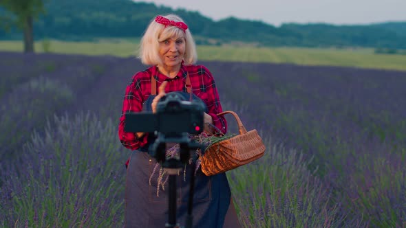 Senior Woman Grandmother Blogger Recording Video Vlog Tutorial in Field of Purple Lavender Flowers