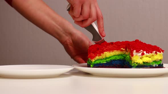 Close Up View of Rainbow Cake on Plate Sliceing By Someone