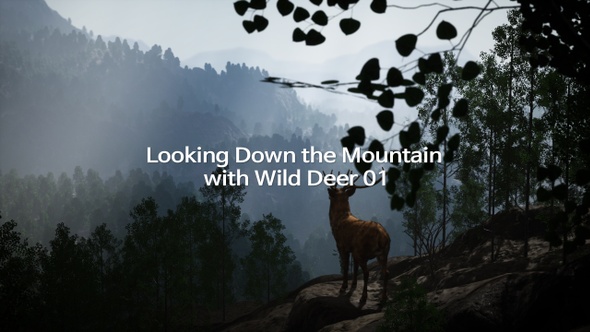 Looking Down the Mountain with Wild Deer 01