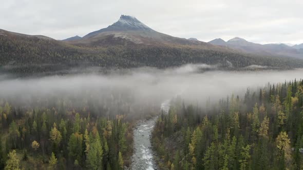 Aerial view over wild river and forest in beautiful scenery