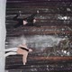 Happy Carefree Girls Throw Snow and Bounce in Slow Motion - VideoHive Item for Sale