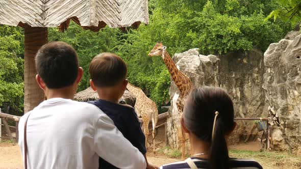 Kids and Parents at Zoo