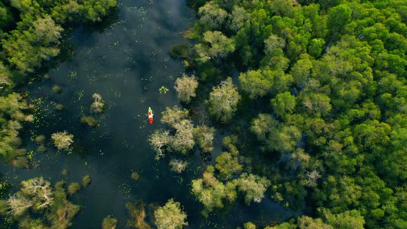 people kayaking in the wetlands The abundance of various plants.