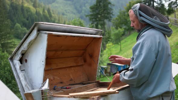 Mature Beekeeper Working with Beehive in Summer