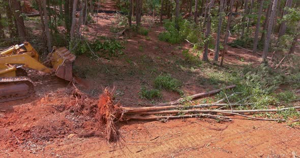 Tractor Skid Steers Were Used to Clear Land From Trees From a Land for a Subdivision of a Housing