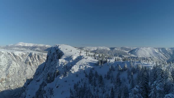 Flight Over the Snowcovered Spruce Forest with Mountains in the Background