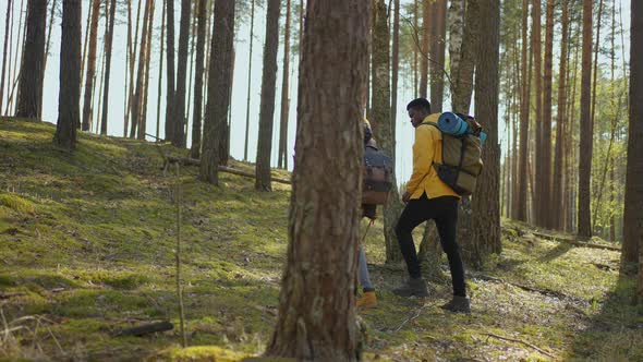 Afroamerican Couple Hiking Trekking in Forest with Backpacks Enjoying Their Adventure Tourism