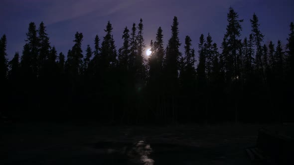 Night time-lapse of moon behind the trees in Alaska.