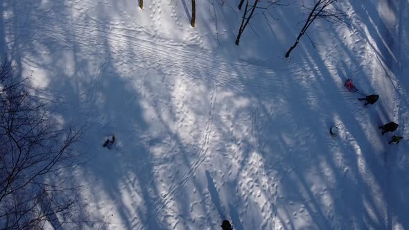 Aerial view of a drone flying over the winter park