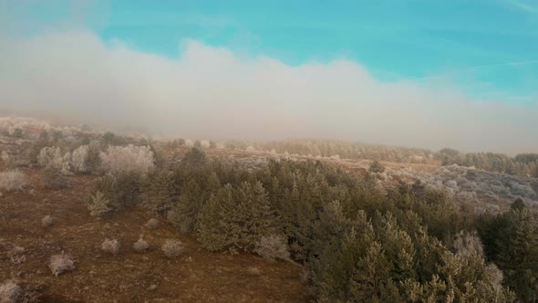 Aerial Footage Beautiful Frozen Trees and Mystical Fog