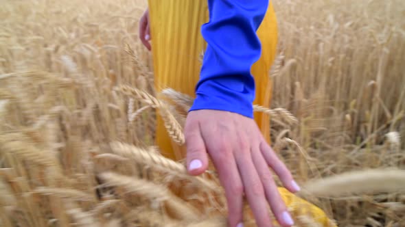 Beautiful Ukrainian Woman Wearing Dress in Ukrainian National Flag Colours Blue and Yellow at Wheat