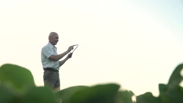 Senior Agronomist or Farmer with Tablet Examines Soybean Growth. Concept of Digital Technologies in