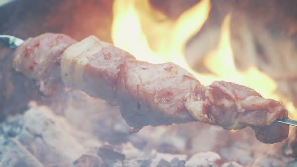 Cooking Kebab on the Grill Closeup