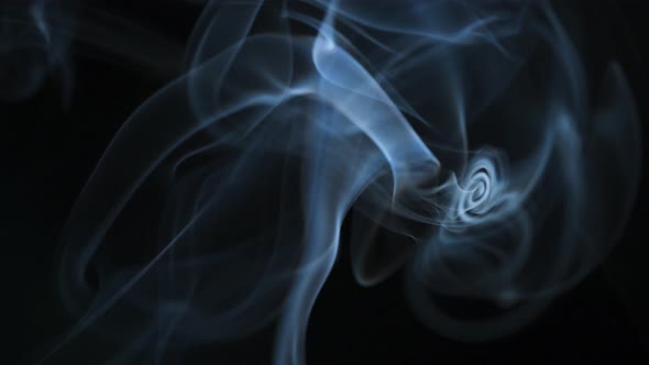 Abstract Smoke Rises Up in Beautiful Swirls on a Black Background