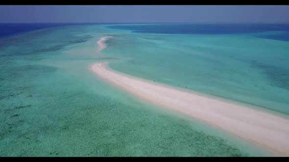 Aerial nature of relaxing resort beach wildlife by aqua blue ocean and bright sandy background of a 