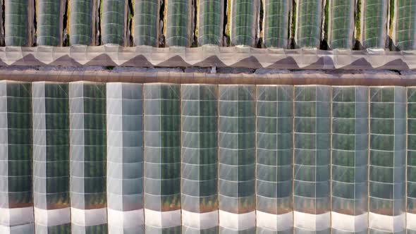 Flying over a new big greenhouse in the desert by the Dead sea, Israel, Triangle roof greenhouse, Ro