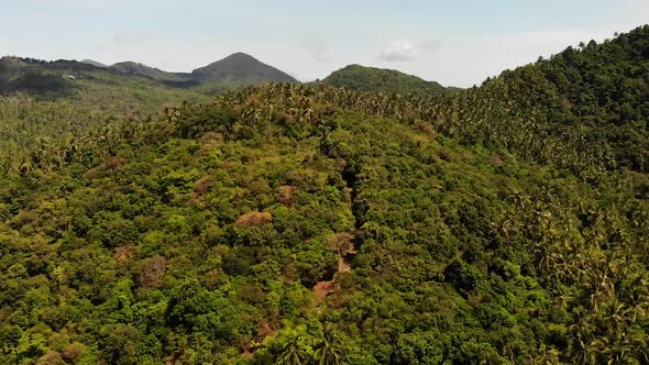 Tropical Forest on Island. Fantastic Drone View of Green Jungle on Mountain Ridge of Amazing