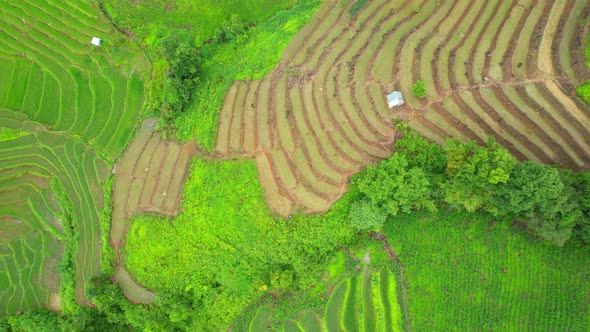 An aerial view over the beautiful rice terraces