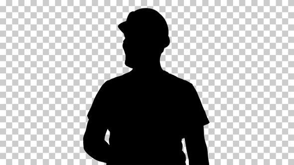 Silhouette Constructor, Alpha Channel alt