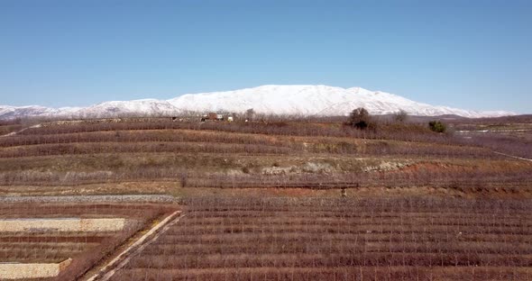 Aerial view of wine vineyard on hilltop, Golan Heights, Israel.