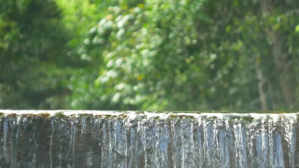 Water Flowing in Forest