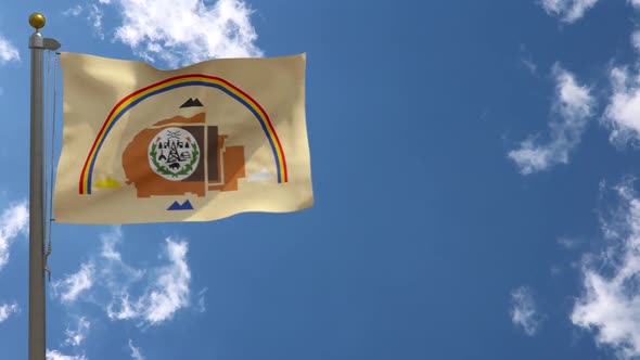 Navajo Nation Flag Native American Flag On Flagpole