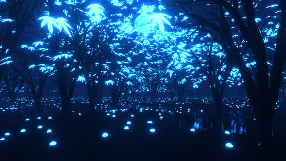 Magic forest video footage.