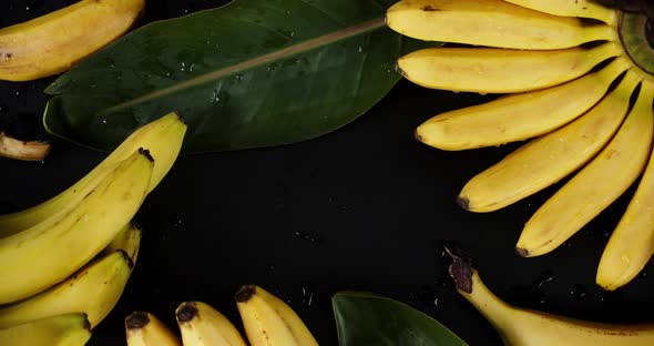 Fresh Bananas with Leaves Slowly Rotate