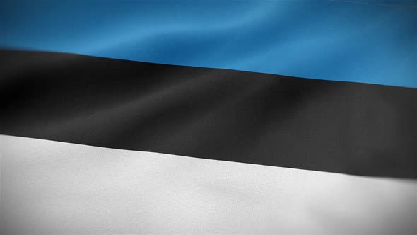 Estonia Flag