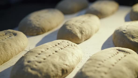 Close View of Freshly Baked Organic Breads on Leaven Lying on Table Under Light