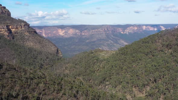 Aerial footage of forest regeneration in the Grose Valley in The Blue Mountains in Australia
