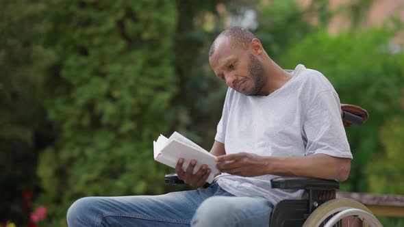 Engrossed Interested African American Disabled Reader in Wheelchair Enjoying Literature Outdoors on