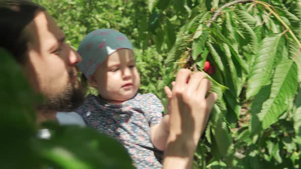 Young Dad with Beard Feeds Child